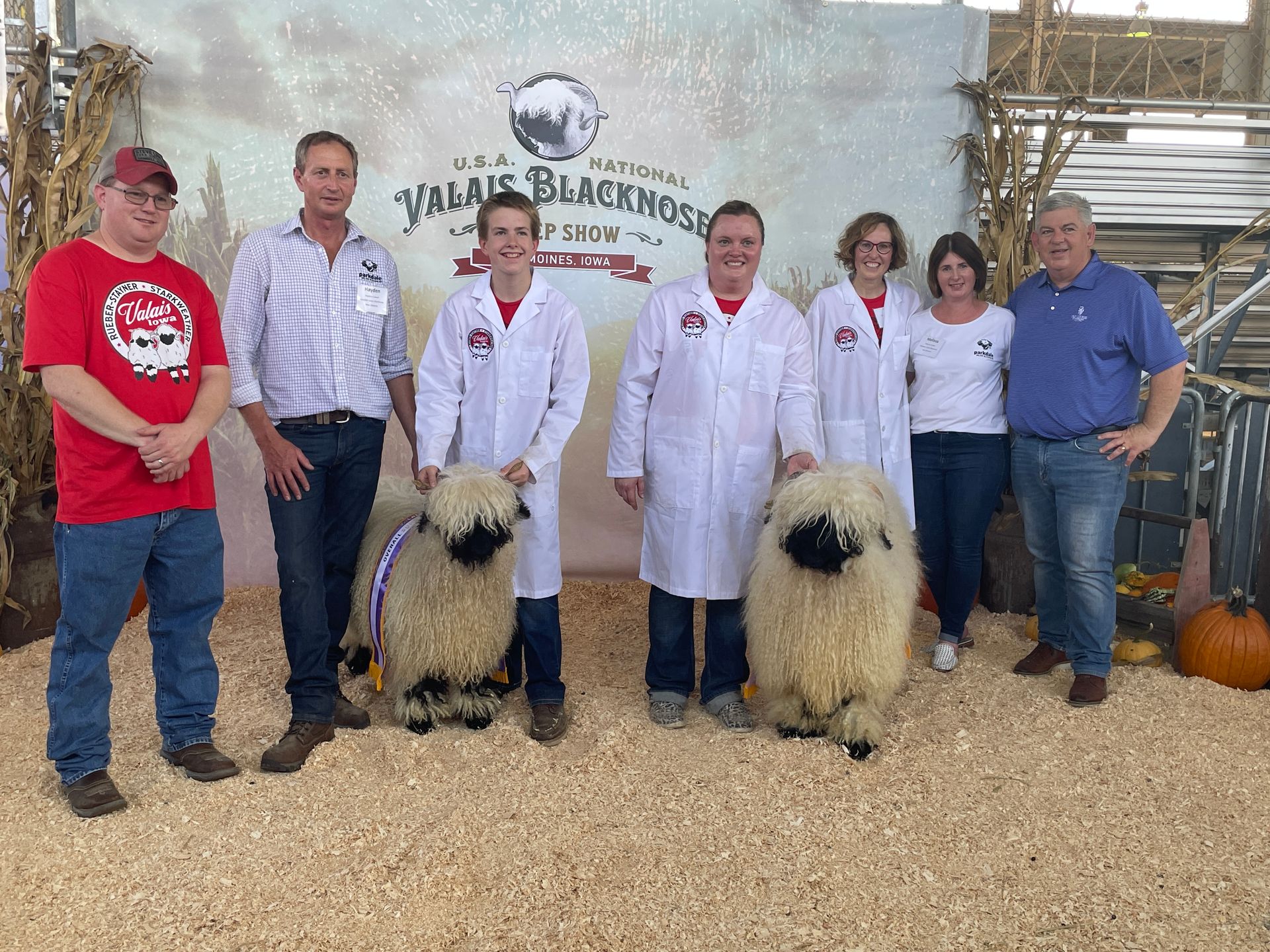 USA National Valais Blacknose Sheep Show Platinum Sponsor 2023 Parkdale NZ New Zealand