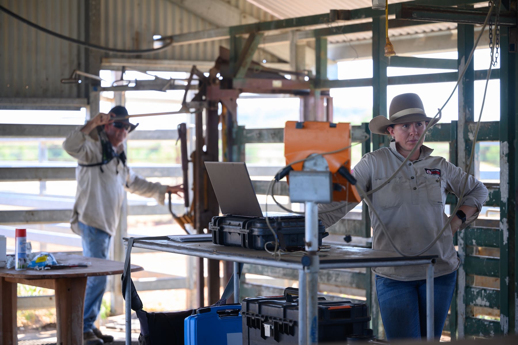 workers on farm using technology