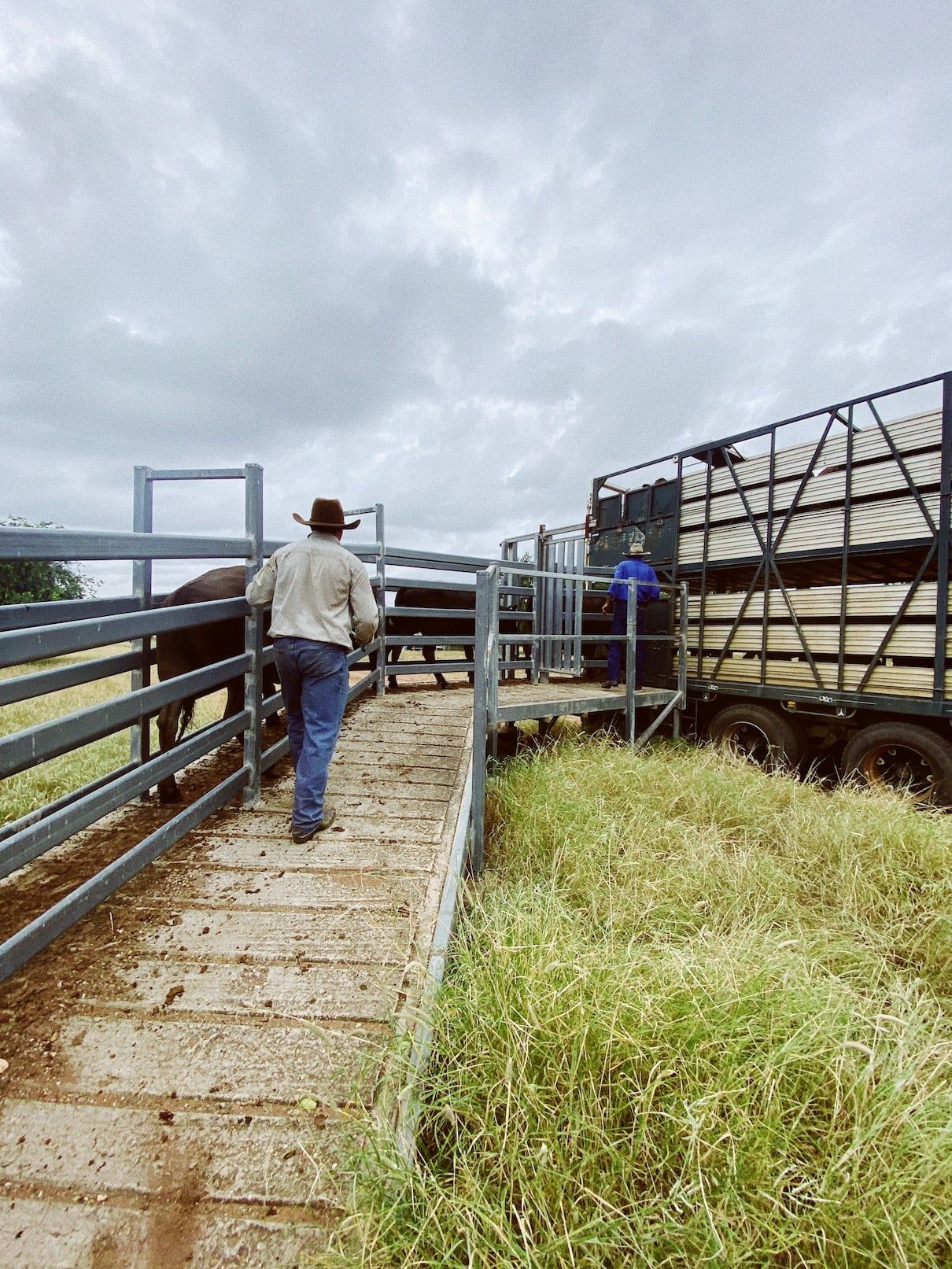 Bar H operations team loading a Stockyard Transport truck to Smithfield Feedlot