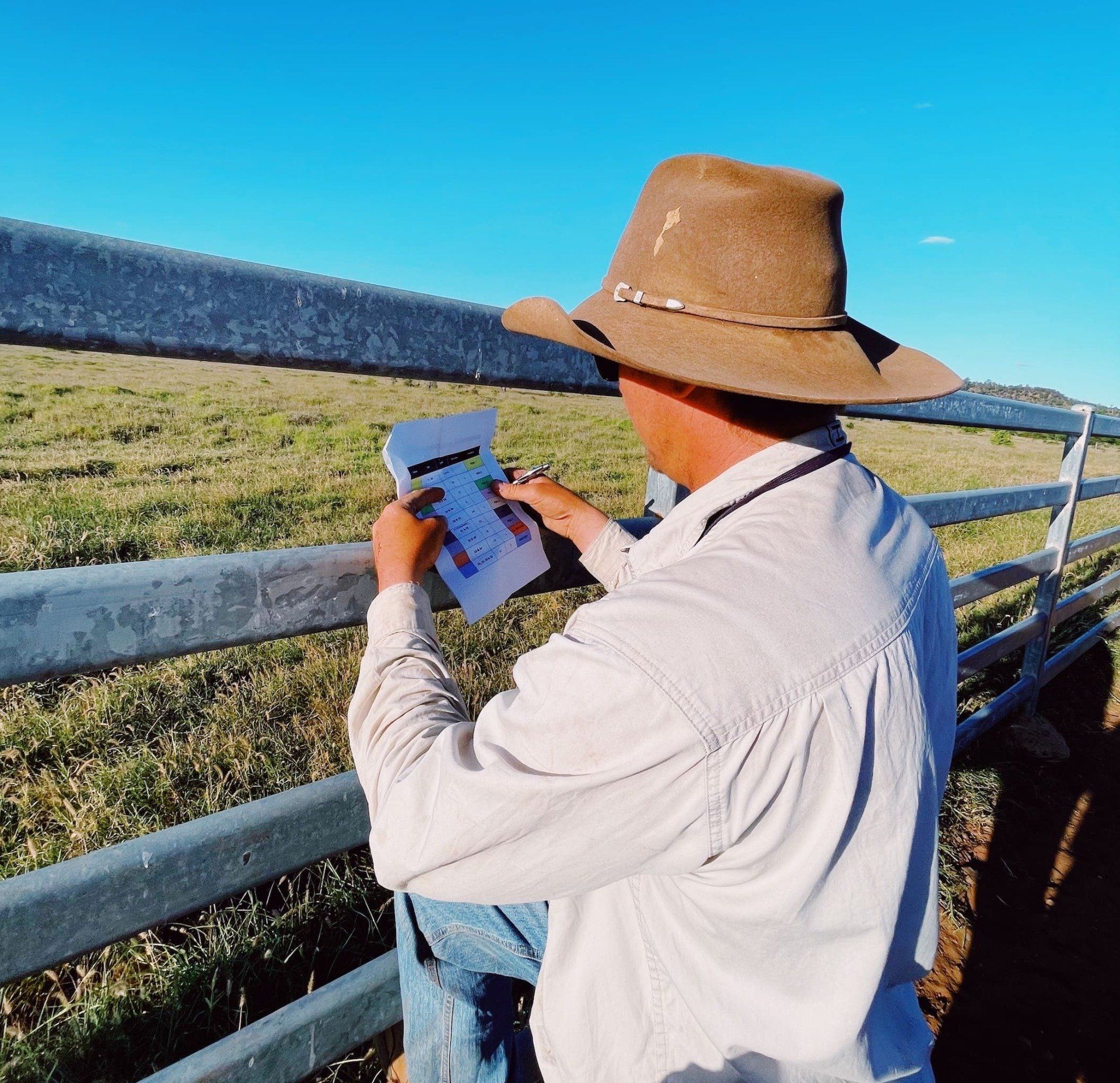 man looking over fence