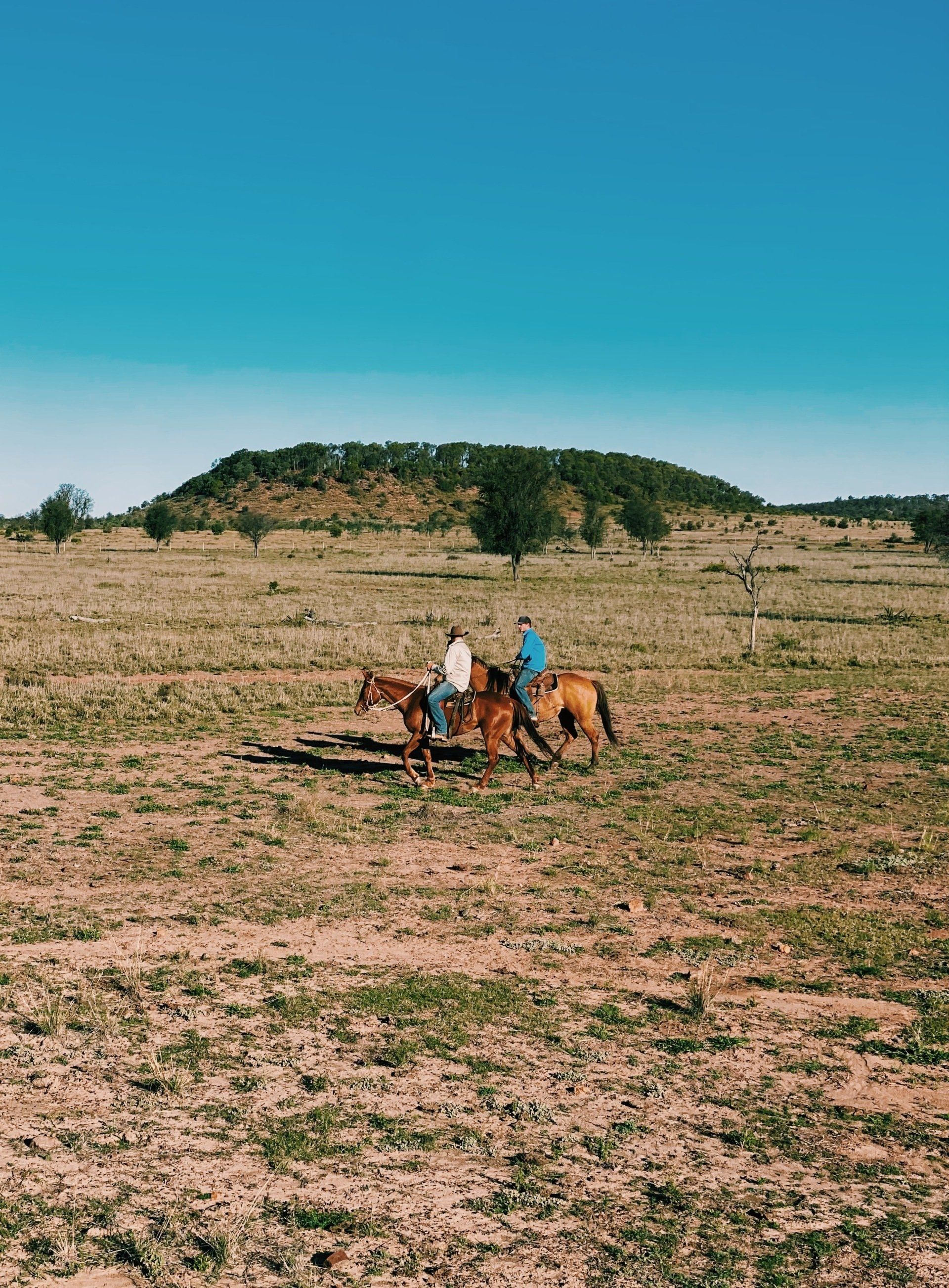 Two people are riding horses in a field.