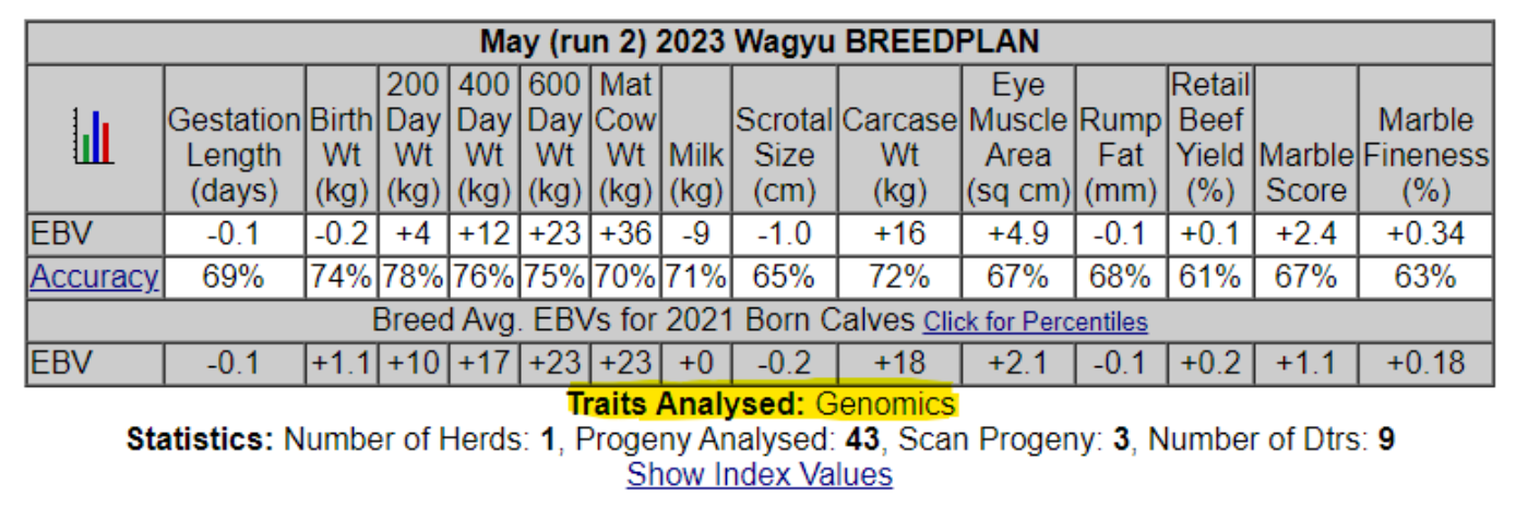 A computer screen shows a breed plan for a dog