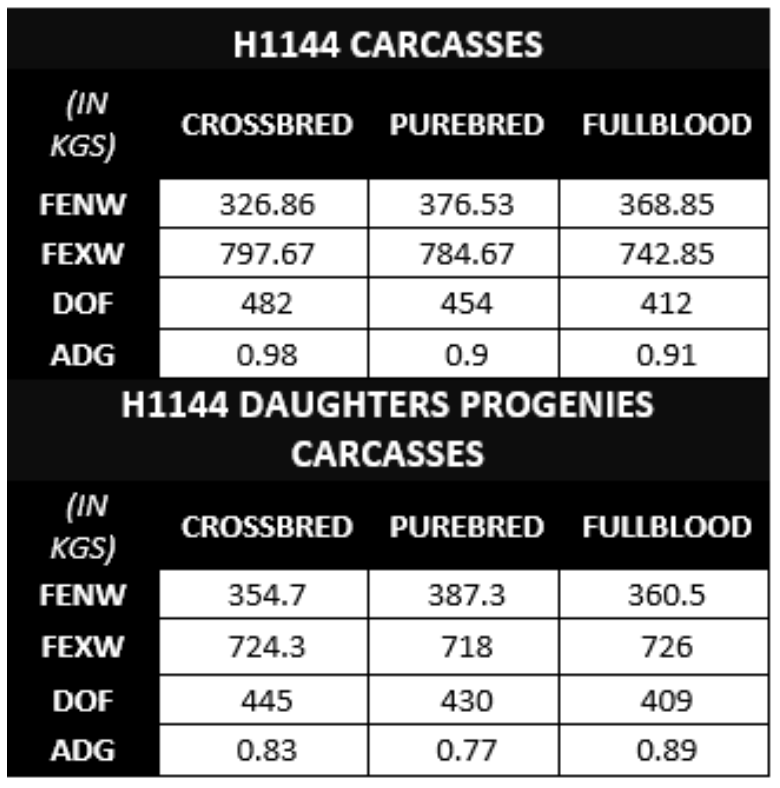 A table showing the numbers of h1144 carcasses and h1144 daughters progenies carcasses