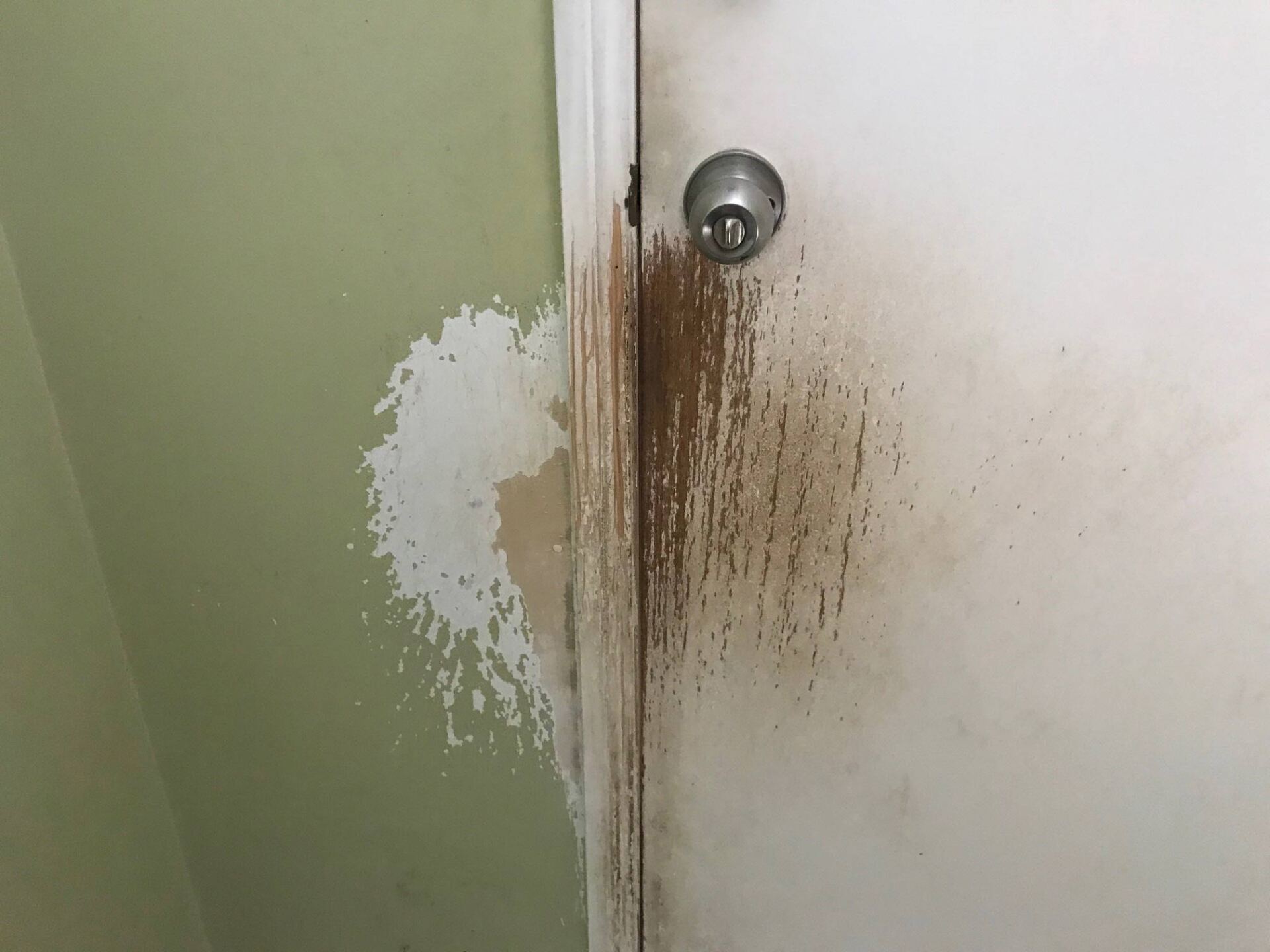Dirty Front Door With Lock Before — Property Maintenance & Garden Care in Beerwah, QLD