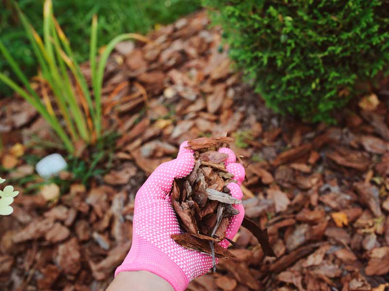 Mulch Supplies — Property Maintenance & Garden Care in Beerwah, QLD