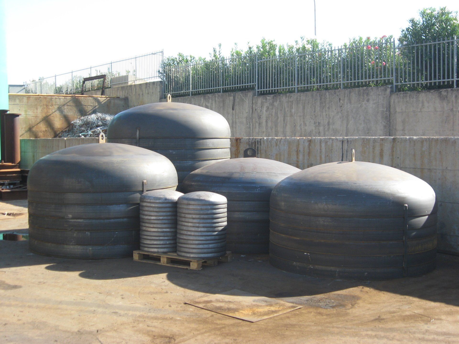 una bibbia nera con una croce d' oro è seduta accanto a un fiore bianco