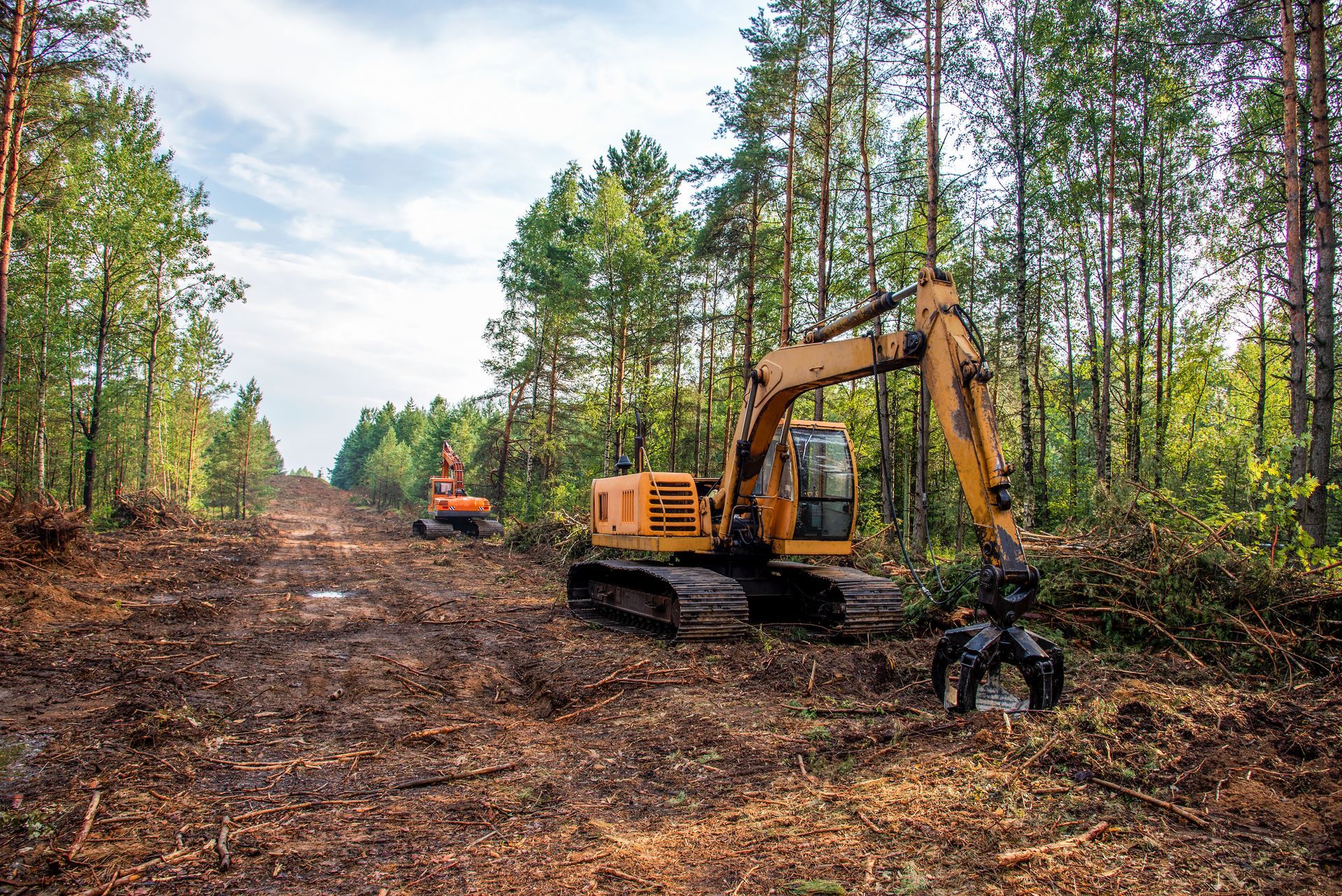 Excavator clearing a forest