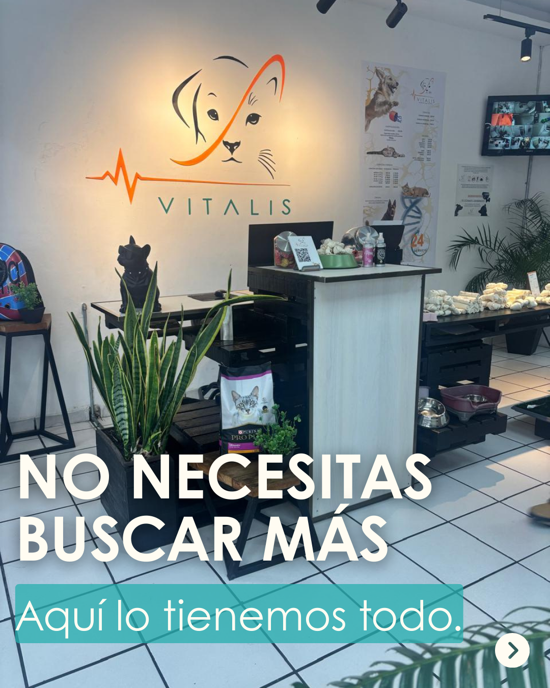 imagen promocional hospital veterinario