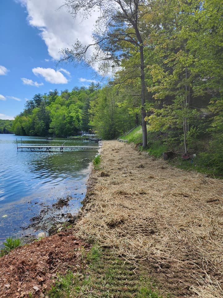 A dirt path leading to a lake surrounded by trees on a sunny day.