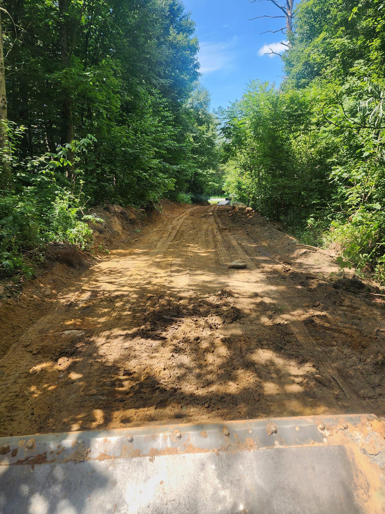 A dirt road surrounded by trees on a sunny day.