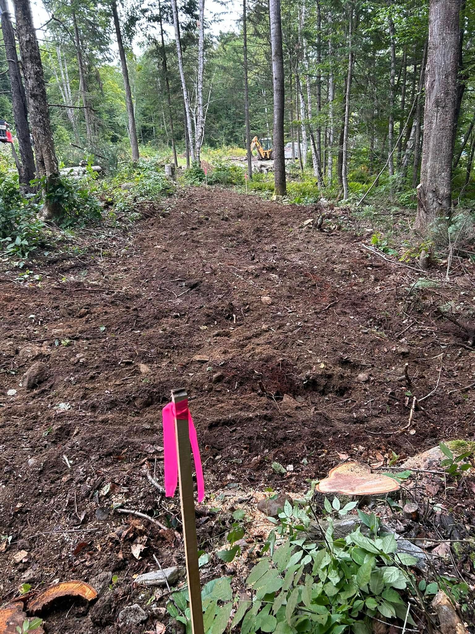 There is a pink flag on a pole in the middle of the woods.