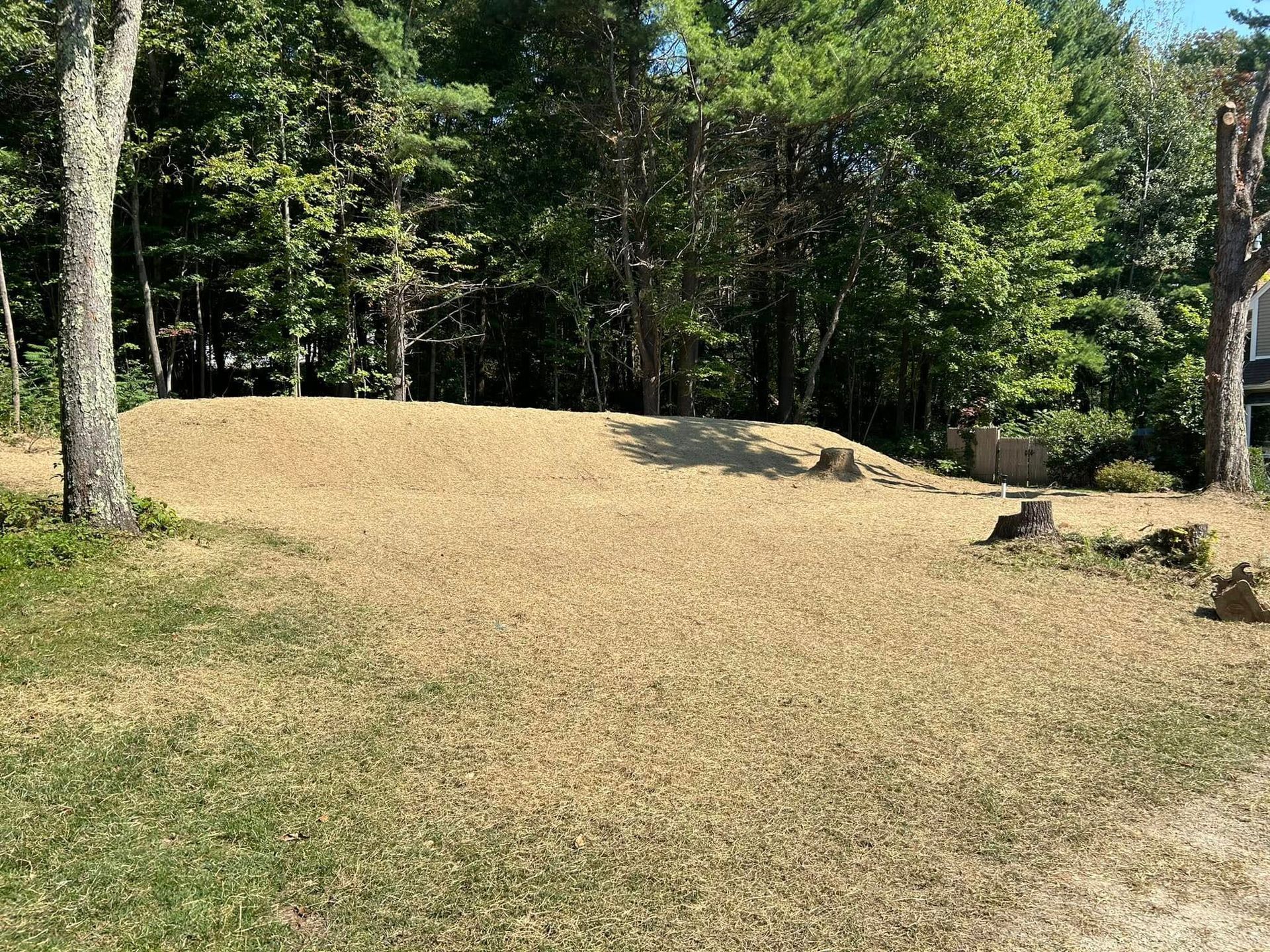 A dirt field with trees in the background and a house in the background.