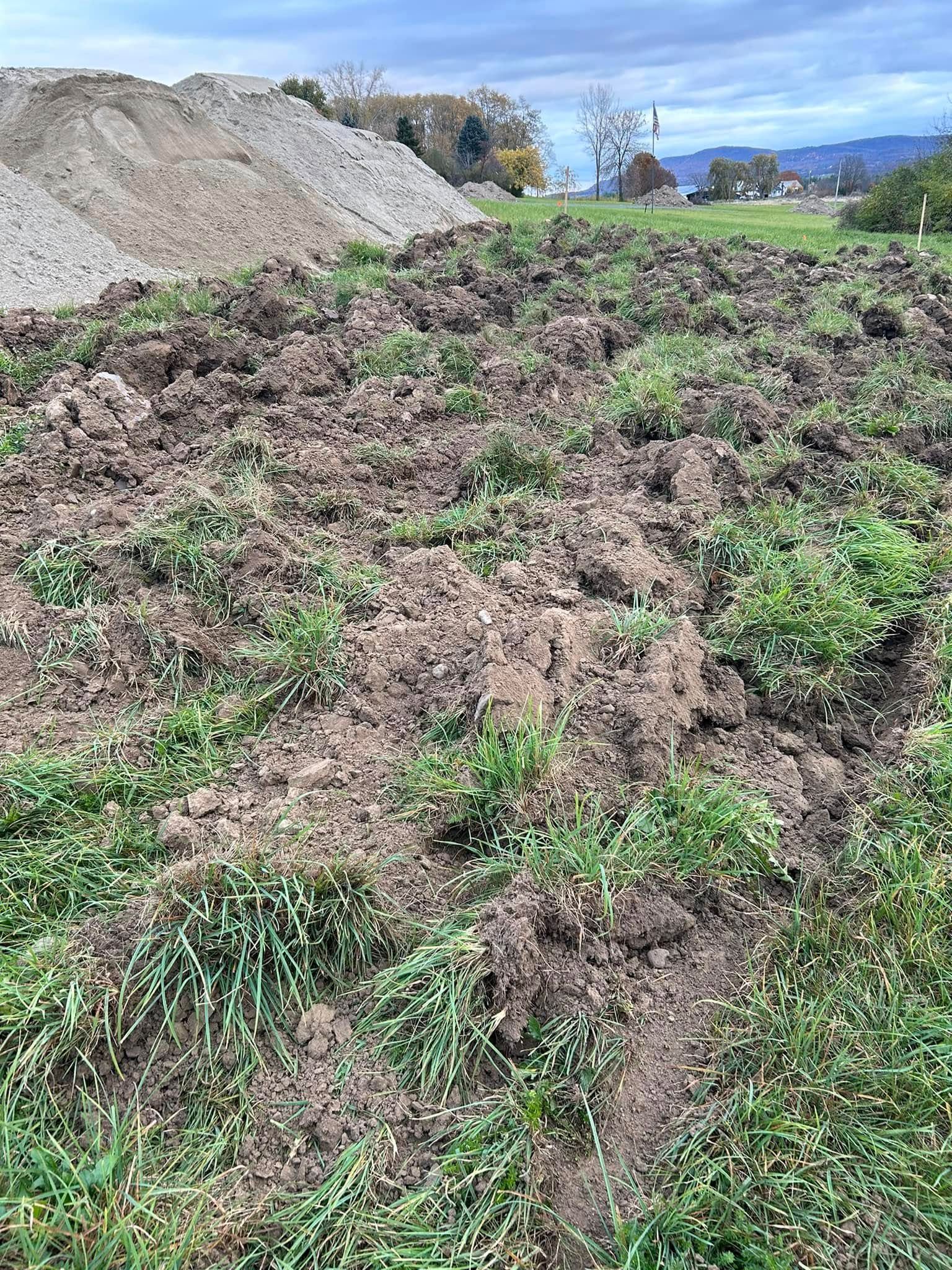 A field of grass and dirt with a pile of dirt in the background.