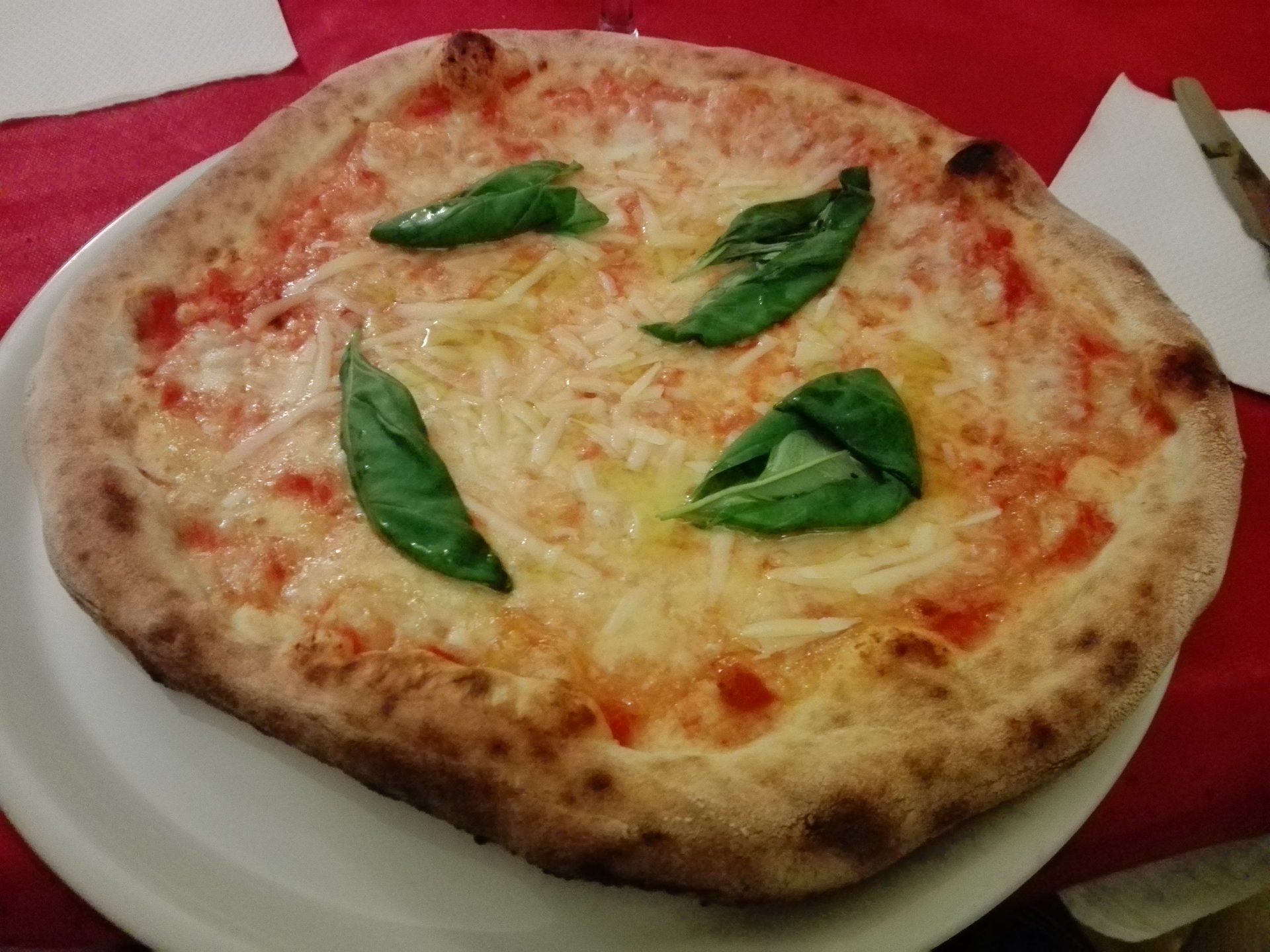 pizza margherita