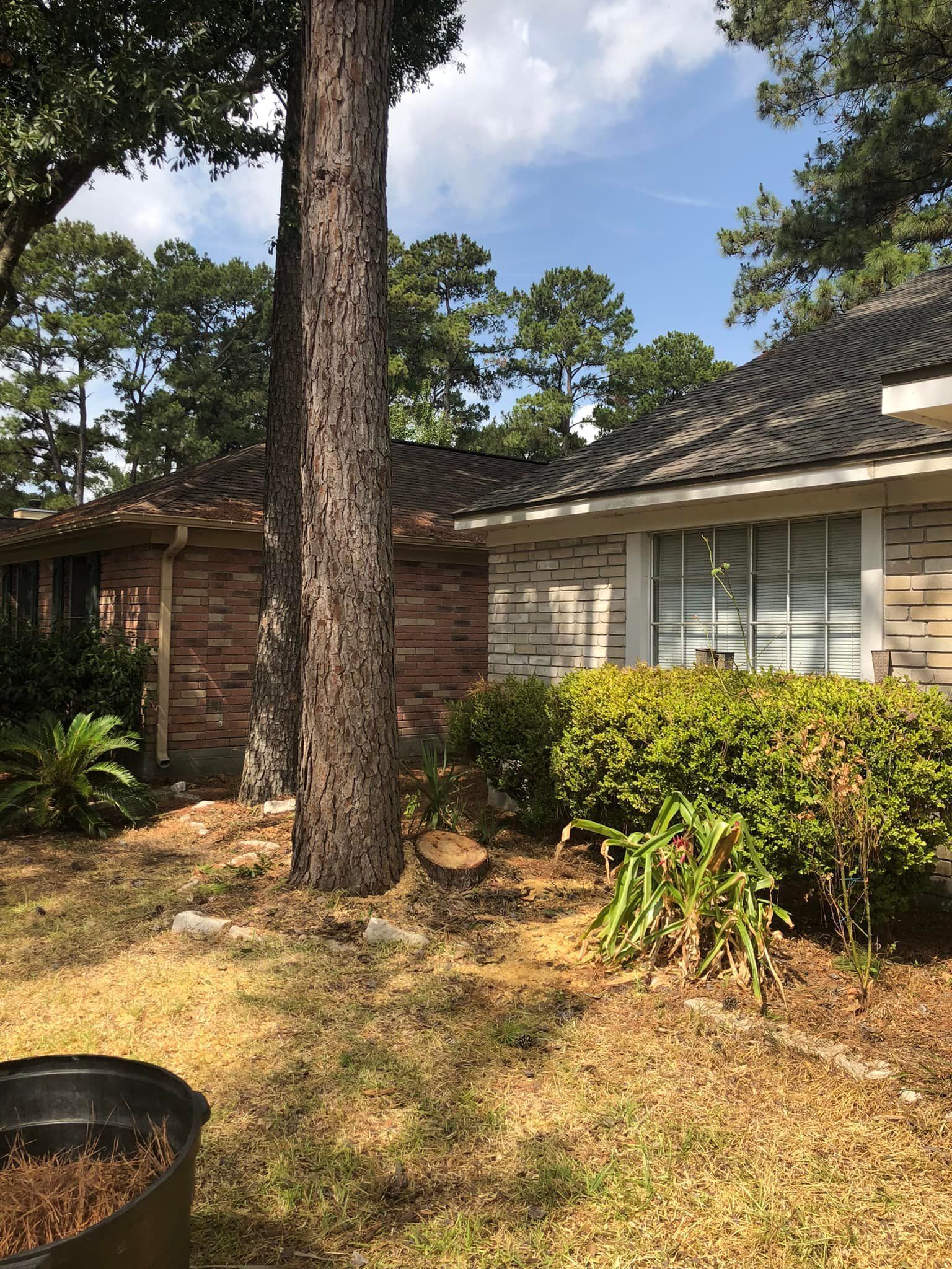 Tree Removal North Houston