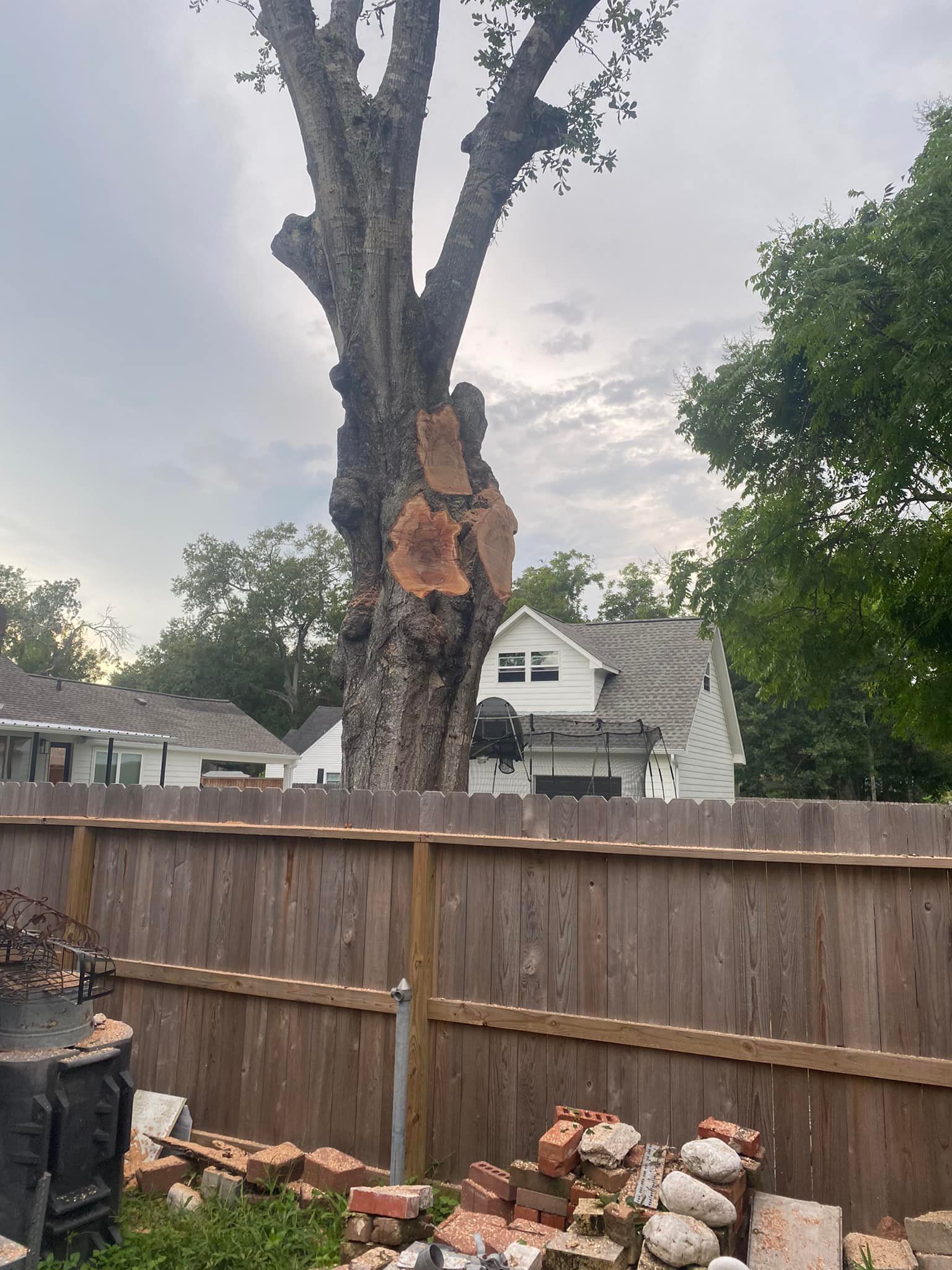 North Houston Emergency Tree Service