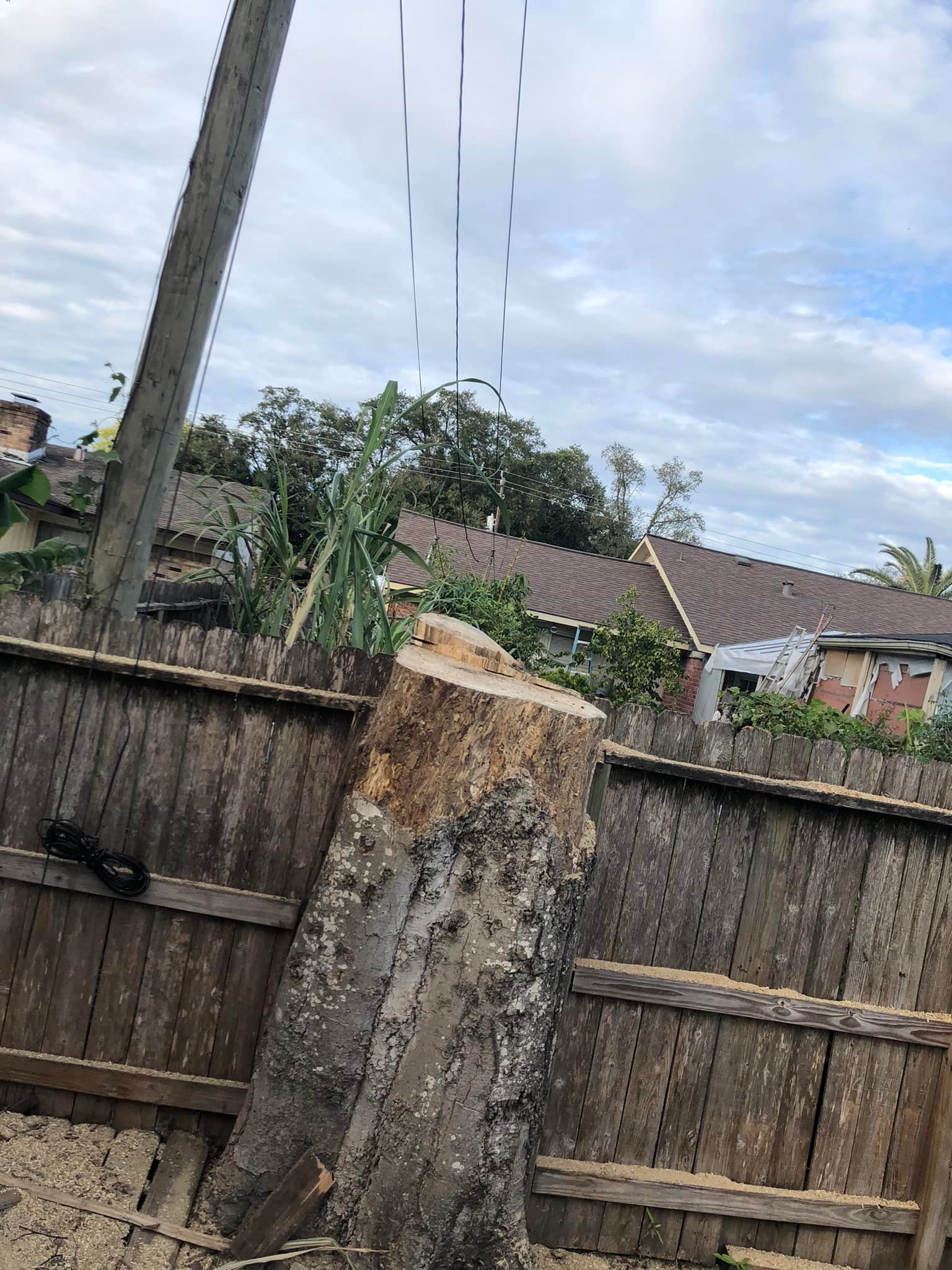 Tree Removal North Houston