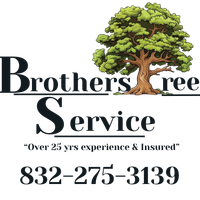 Brothers Tree Service