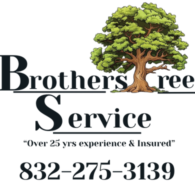 Brothers Tree Service North Houston