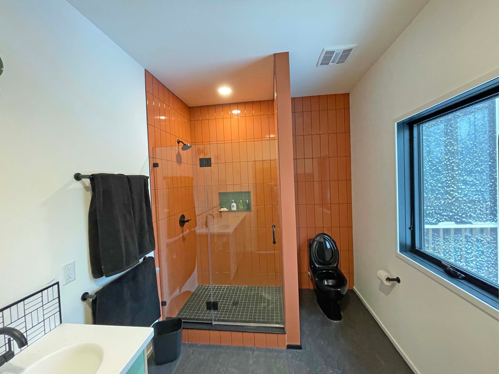 A bathroom with a walk in shower and a toilet