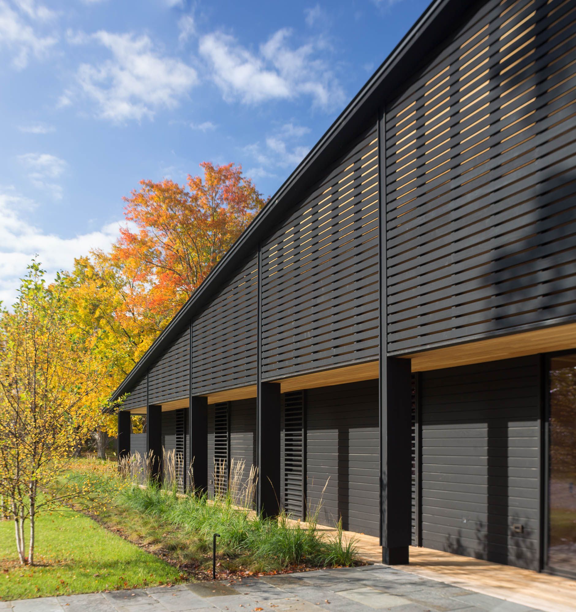 A row of black buildings with trees in the background