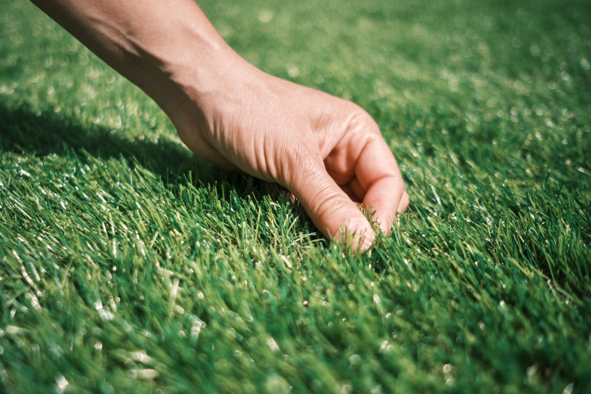 A man checking a turf