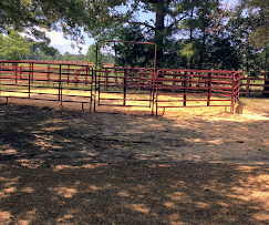 Red metal livestock pen with gate in a sunny dirt paddock under trees.