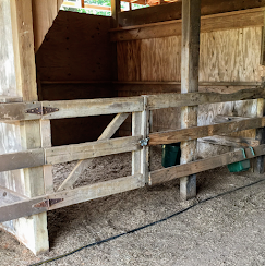 Wooden livestock stall with a white gate and straw-covered floor inside a barn