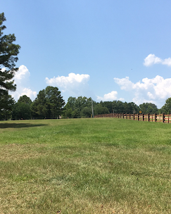 Grassy field under a blue sky with clouds, trees on the left, and a wooden fence along the right side.