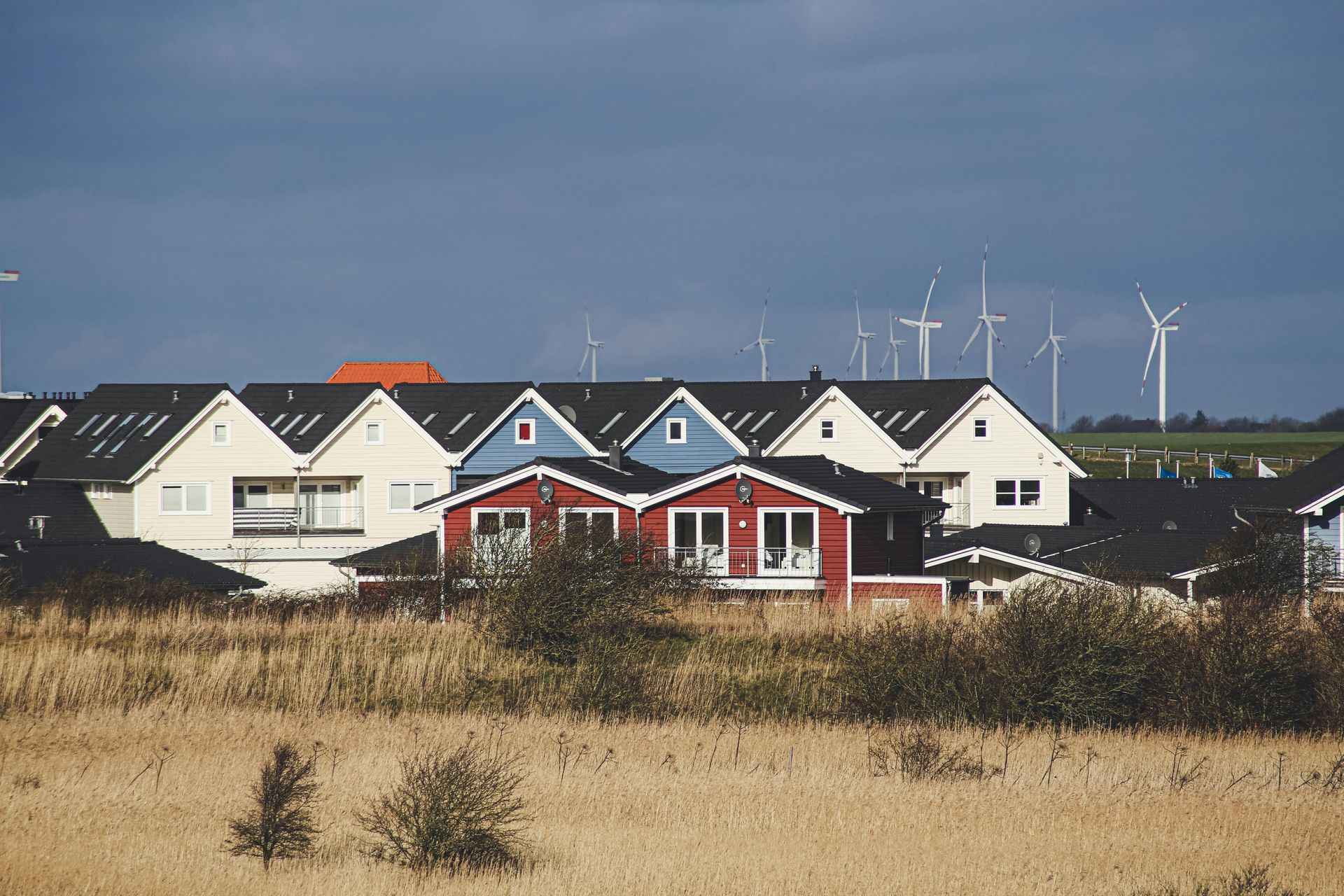 A row of colorful houses with gabled roofs stands before a field of tall.