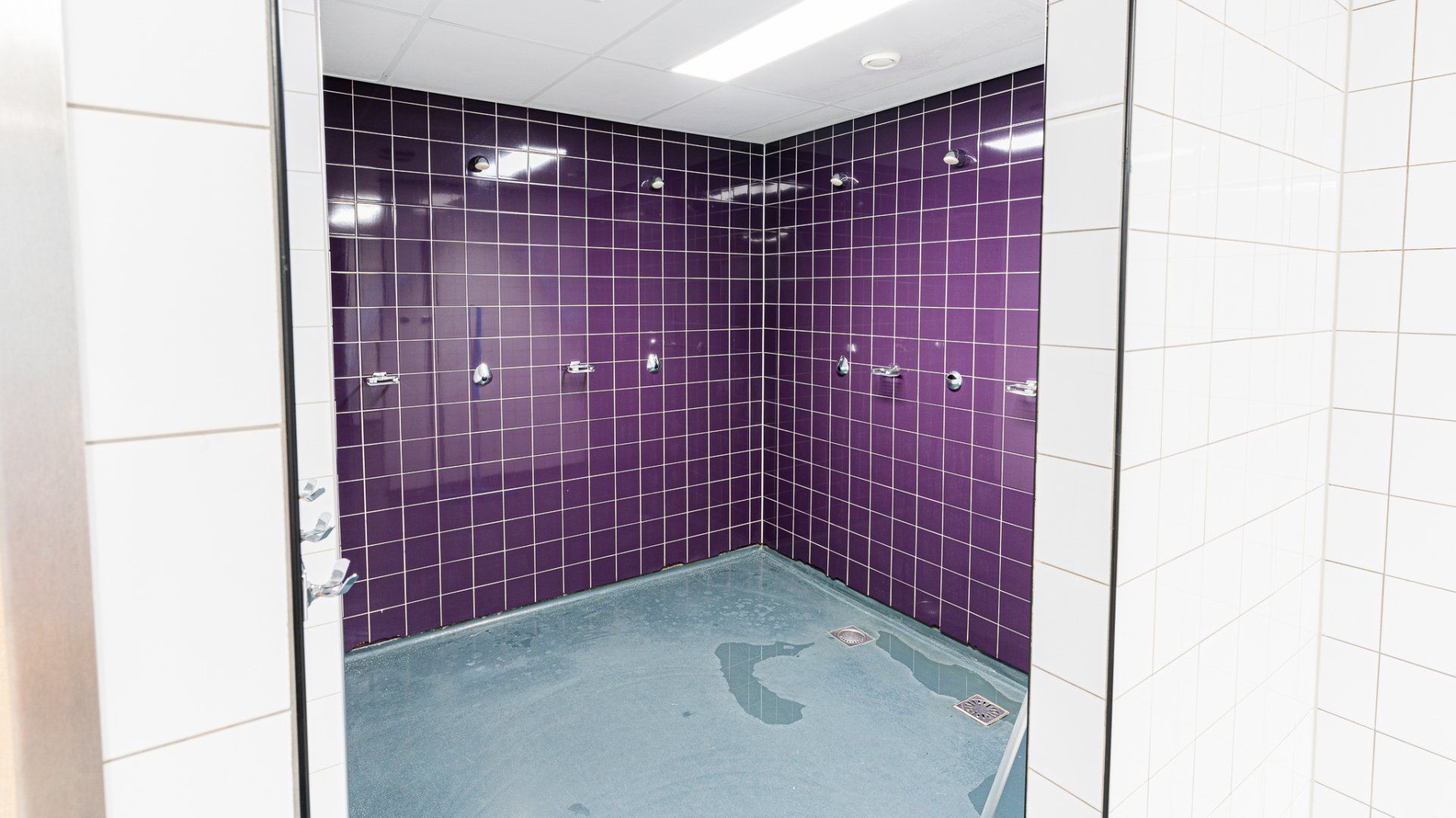 Een badkamer met paarse tegels en een blauwe vloer.