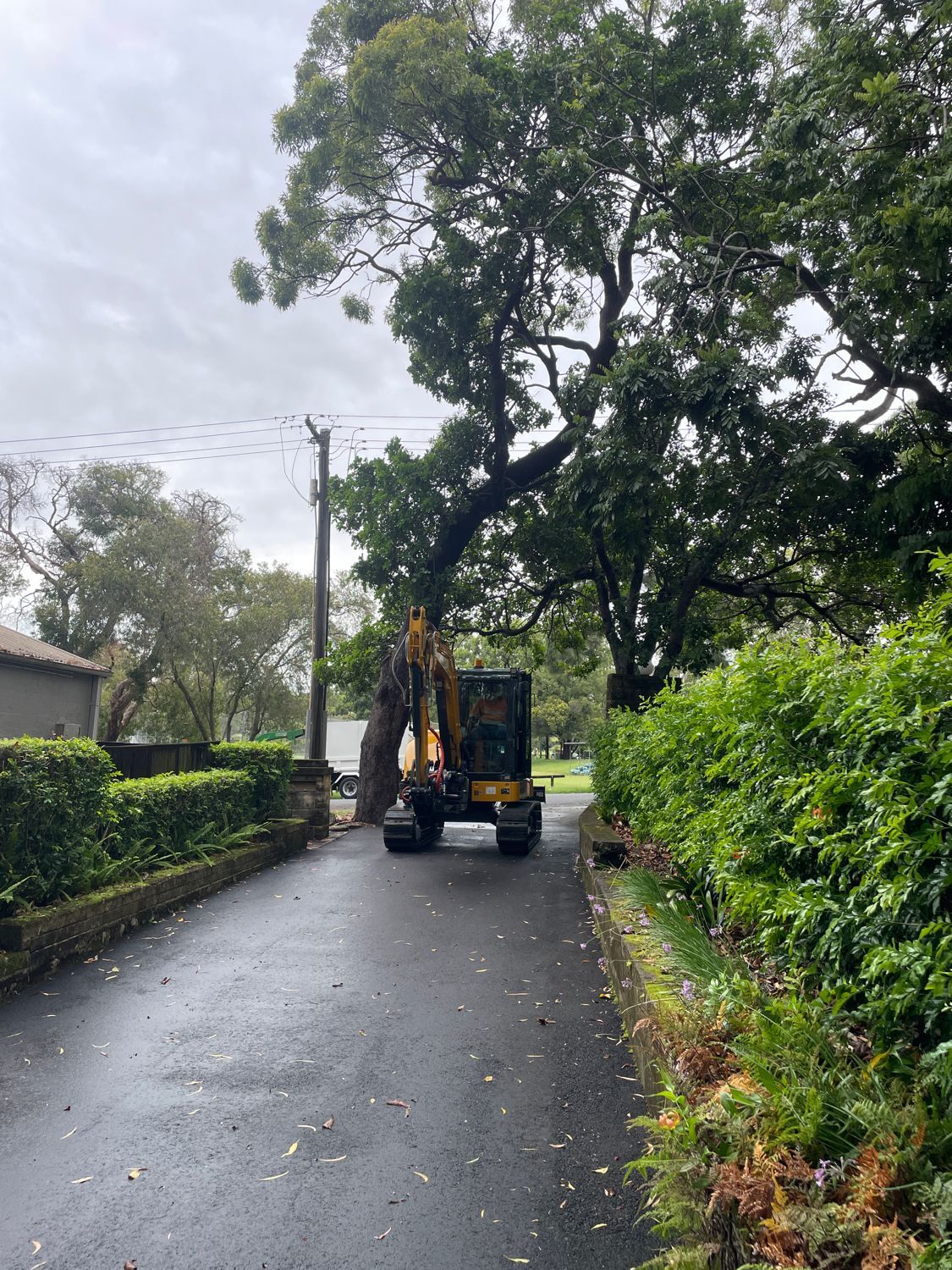 land clearing sydney