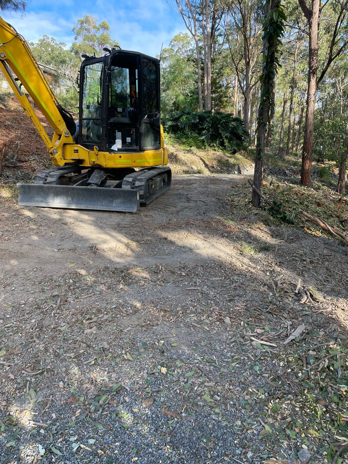 tree clearing services sydney
