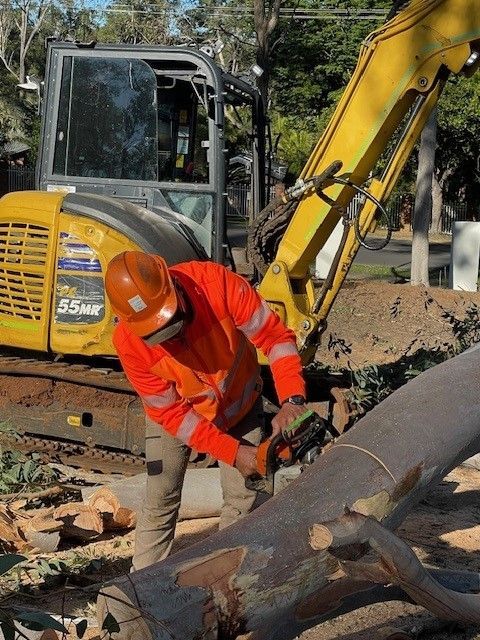 Sydney Tree Loppers