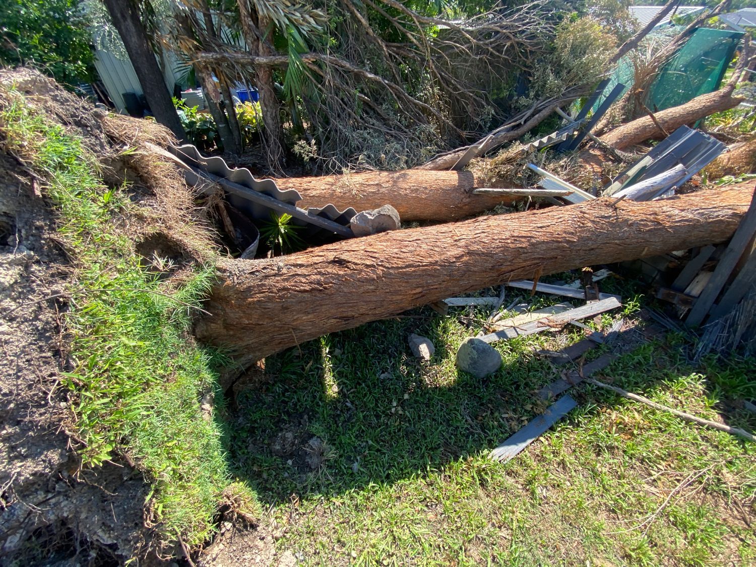 emergency tree services