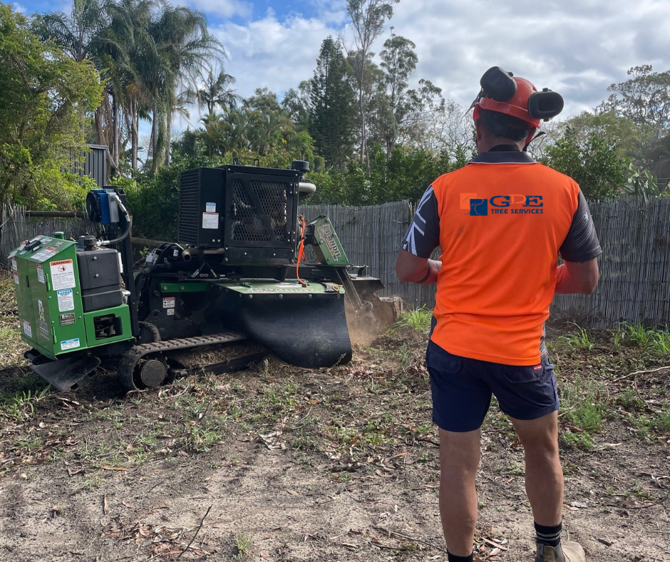 tree cutting service companies in sydney