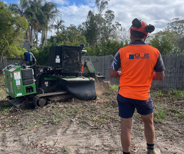 tree loppers sydney