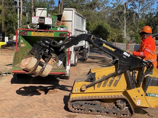 tree cutting services Sydney