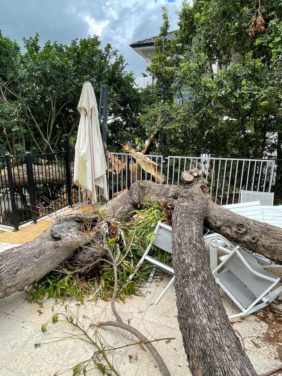 tree service emergency sydney