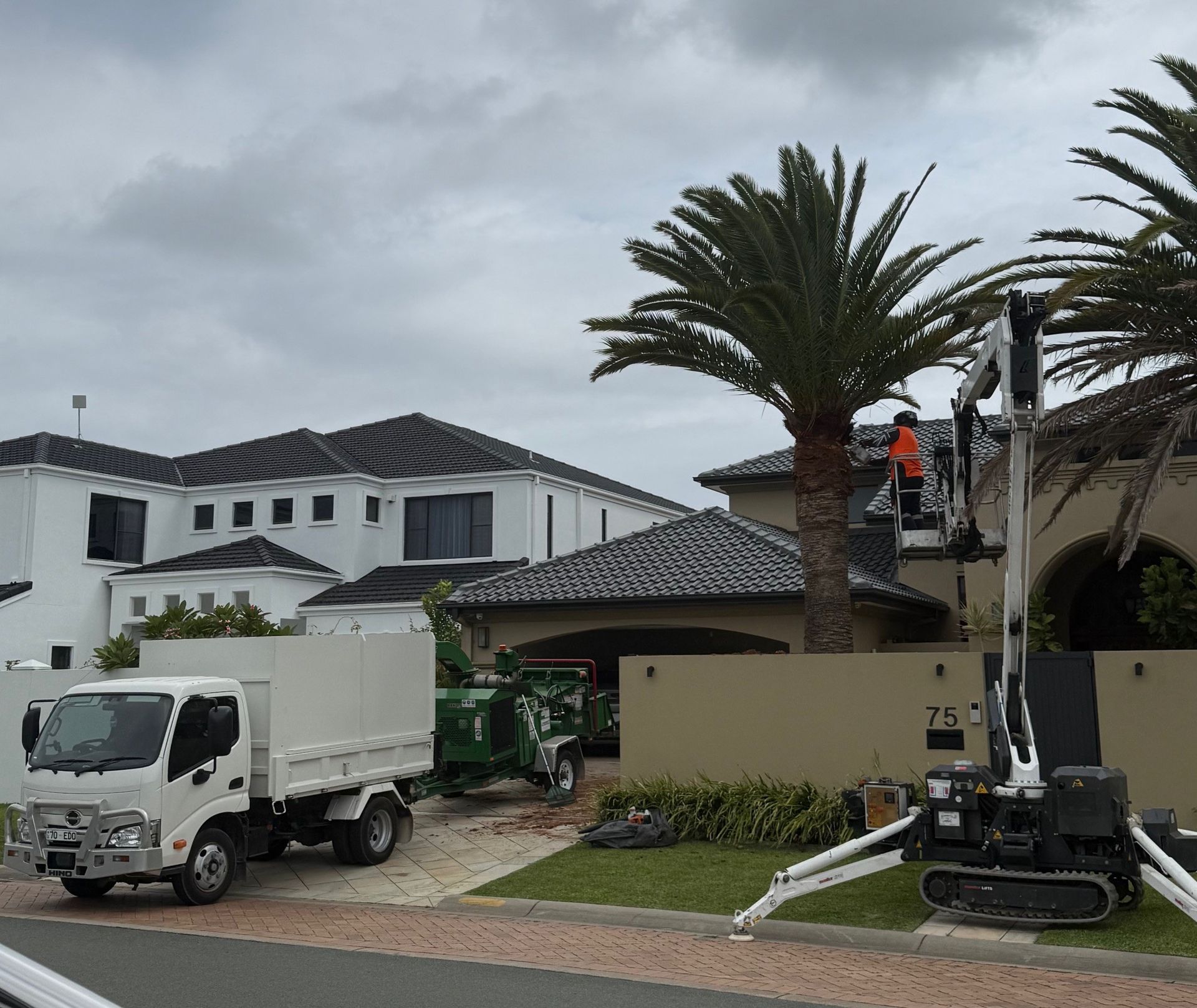 tree services warwick farm