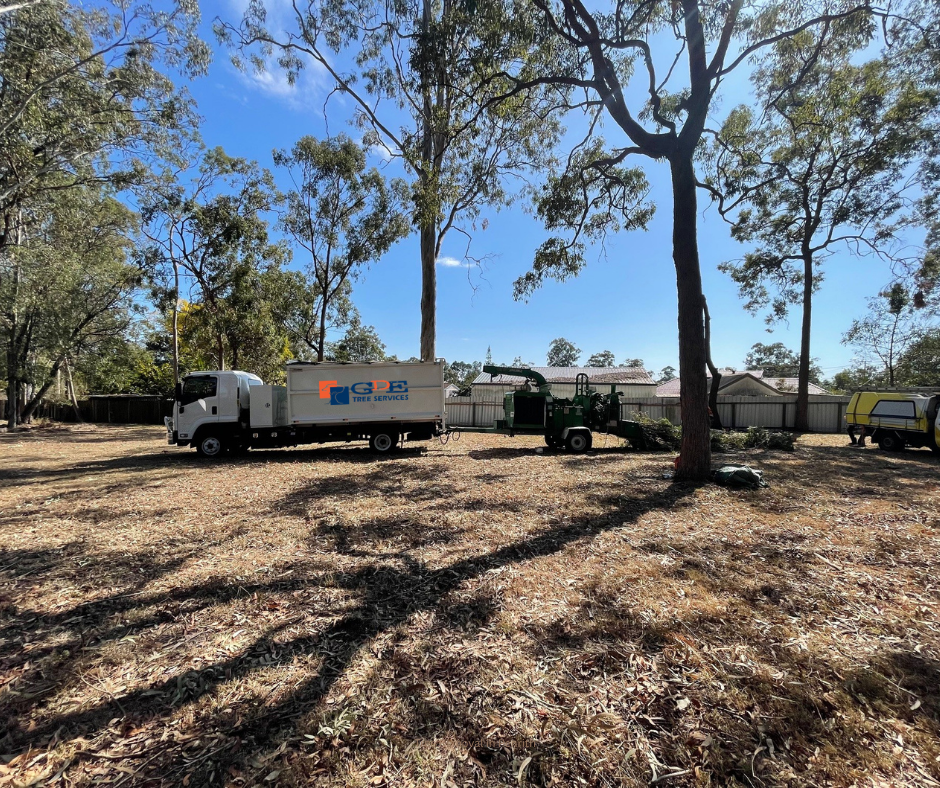 tree removal penrith