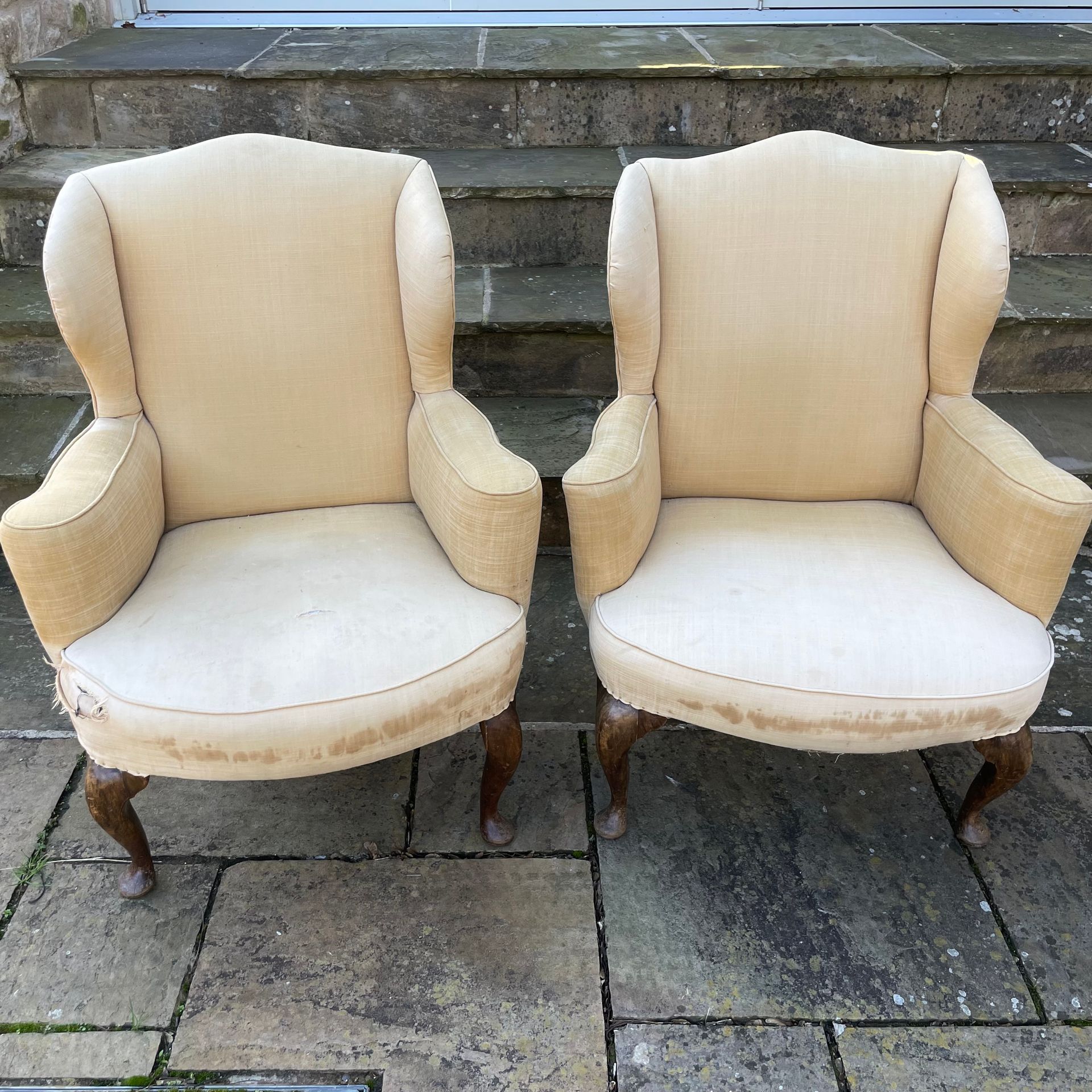 2 slightly well-used wing chairs upholstered in cream with high arms, large rounded seat cushions, and curved wooden legs.