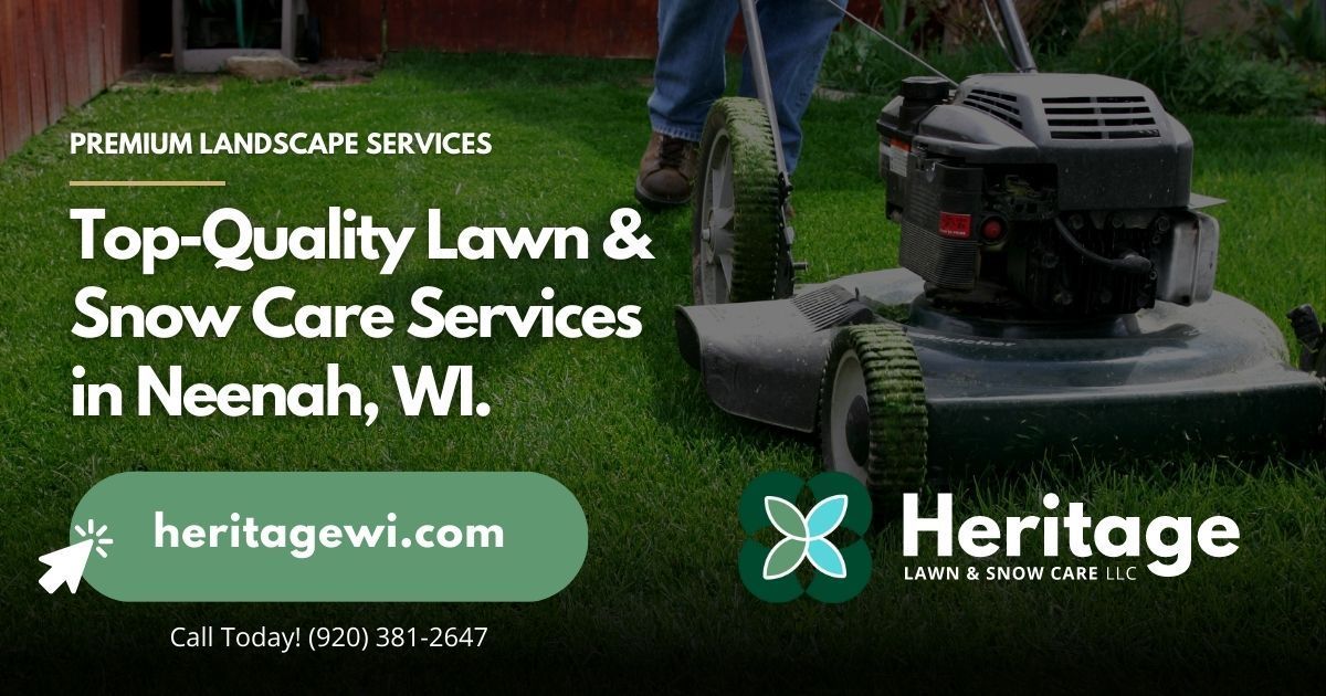 Residential & Commercial Pest Control in Neenah, WI