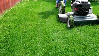 residential lawn maintenance services