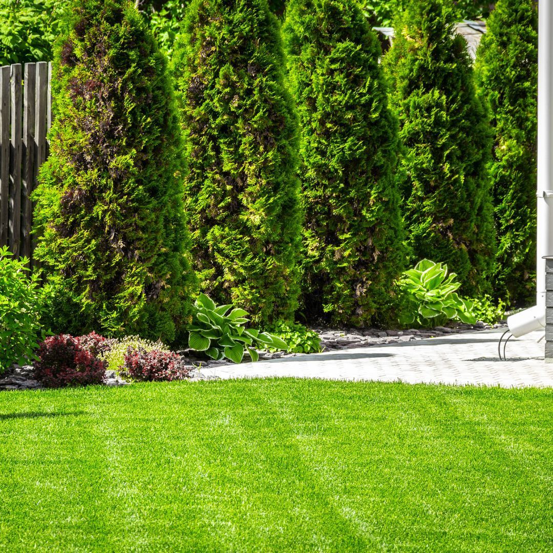 lawn mowing services fox valley wi