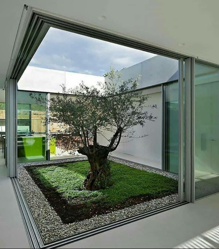 Woman smiling, holding papers, amidst indoor plants. Dark green uniform, bright hallway.