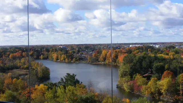 An aerial view of a lake surrounded by trees on a cloudy day.