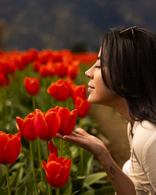 Woman smelling red tulips in a garden