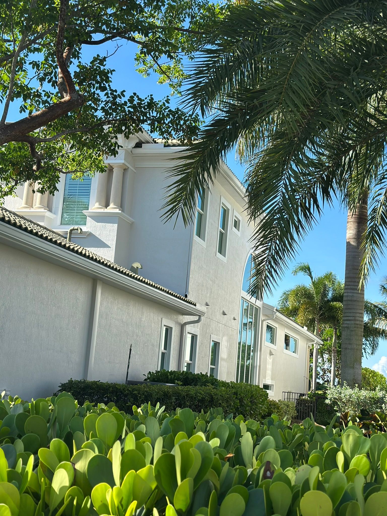 A white house with a palm tree in front of it