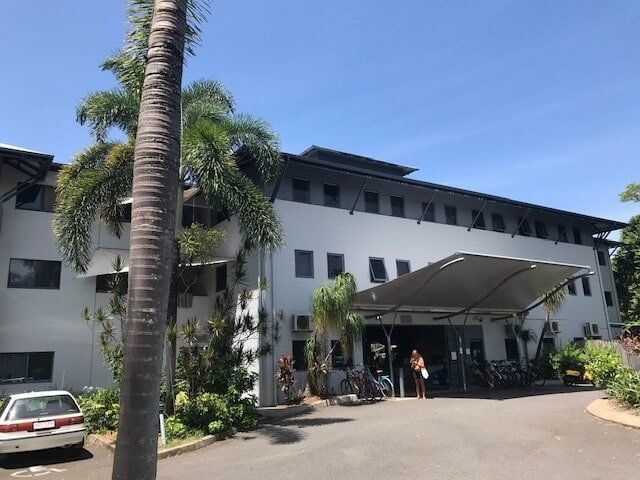 A White Building With A Palm Tree In Front Of It — Pete's Painting Solutions In Kewarra Beach, QLD